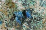 Blue Chalcanthite - Mina Ojuela, Mexico #136842-2